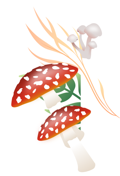 Product Card Background Image