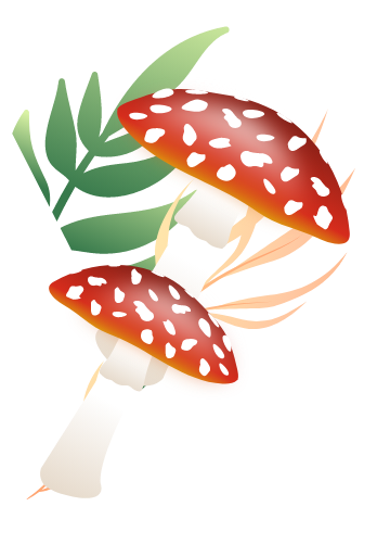 Product Card Background Image