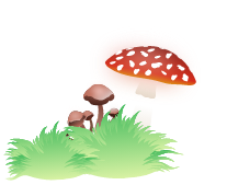 Right Corner About Us Image